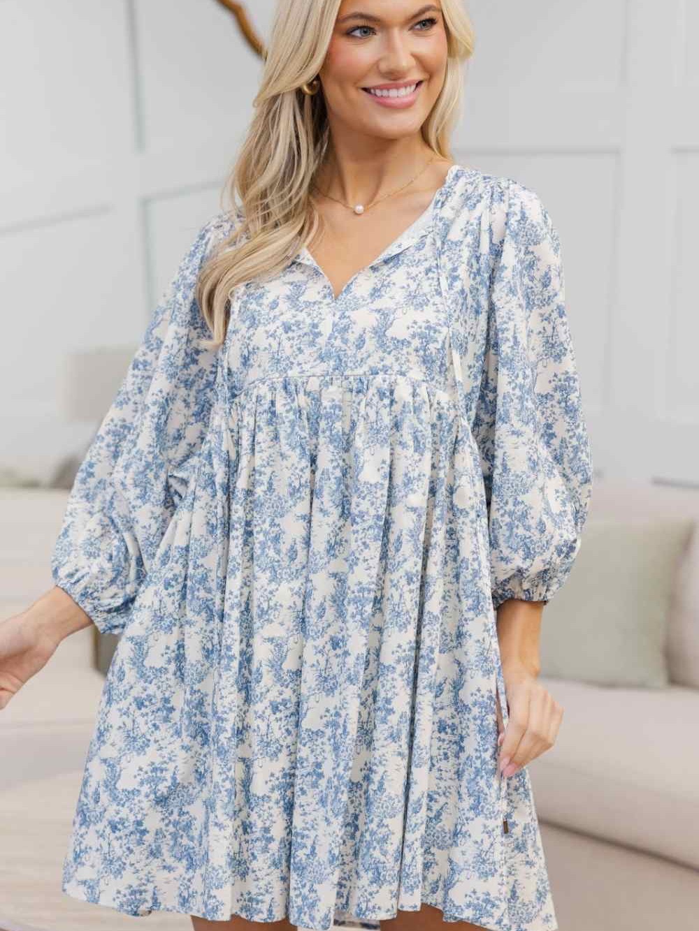 Shop The Mint It’s All True Blue  toile Nursing Dress Size Large